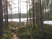 Laipanmaan yli 30 km:n merkityt reitit alkavat tuosta kilometrin päästä; Haltiantien varresta.  kts: https://laipanmaa.fi/